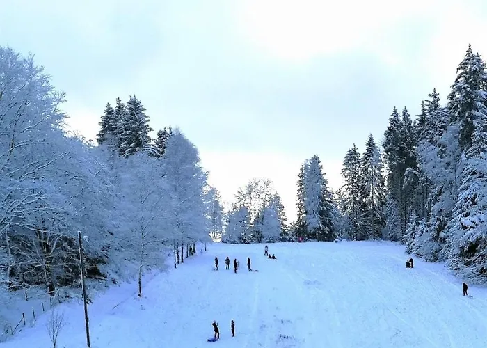 Talblick Appartement *